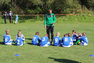 九游网页版官网入口-五大联赛核心球员缺阵时教练战术应变差异分析，五大联赛主教练工资排名